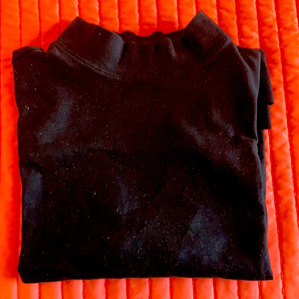 Roundtree & Yorke Men’s Mock Turtleneck